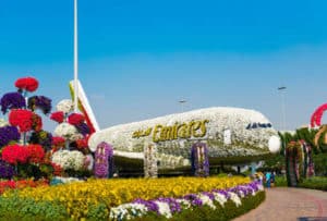Dubai travel guide Miracle-Garden-