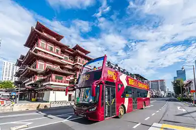 Croisière autour du monde - Guide completVisite de Singapour en bus mtt 1