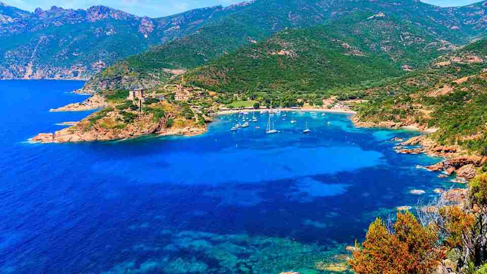 Ajaccio travel guide Scandola reserve