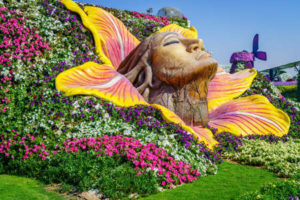 Visiter-Miracle-Garden-a-Dubai