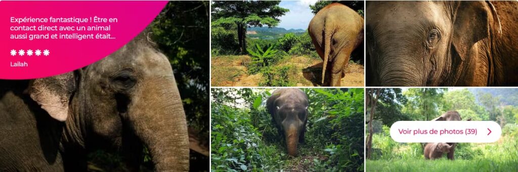 Visiter Phuket - Top attractions, plages et choses à faire