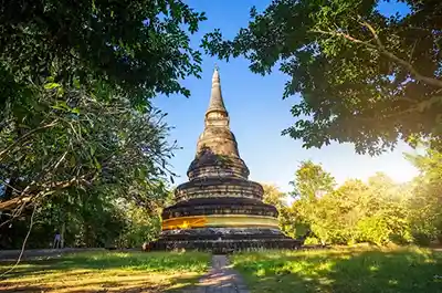 Wat Umong Suan Puthatham chiang mai mtt 2