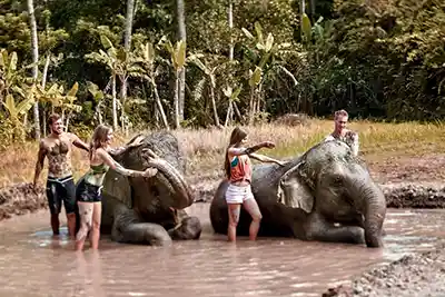 Croisière autour du monde - Guide complet Zoo de Bali – Soins des éléphants et bain de boue mtt 1