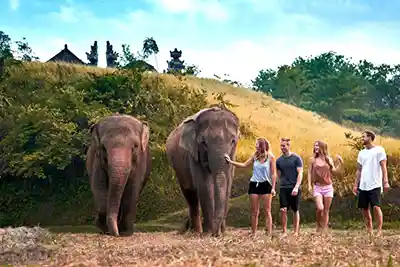 Zoo de Bali – Soins des éléphants et bain de boue mtt 1