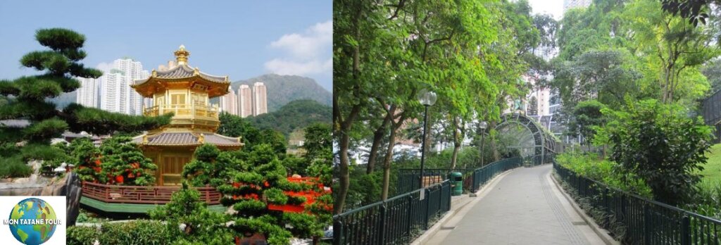 botanical gardens of Hong Kong