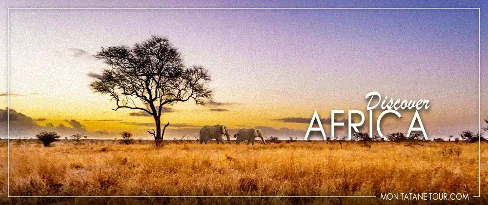 Discover Africa travel guide