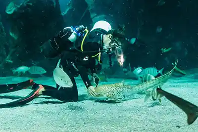 Escales croisière en méditerranée Arrecife aquarium 1