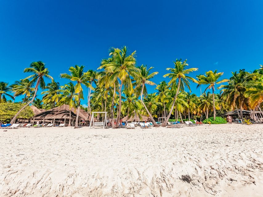 île de Saona Punta Cana