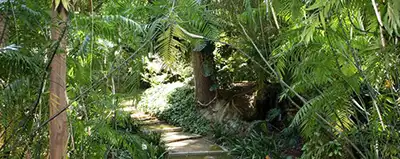 jardin botanique de Malaga