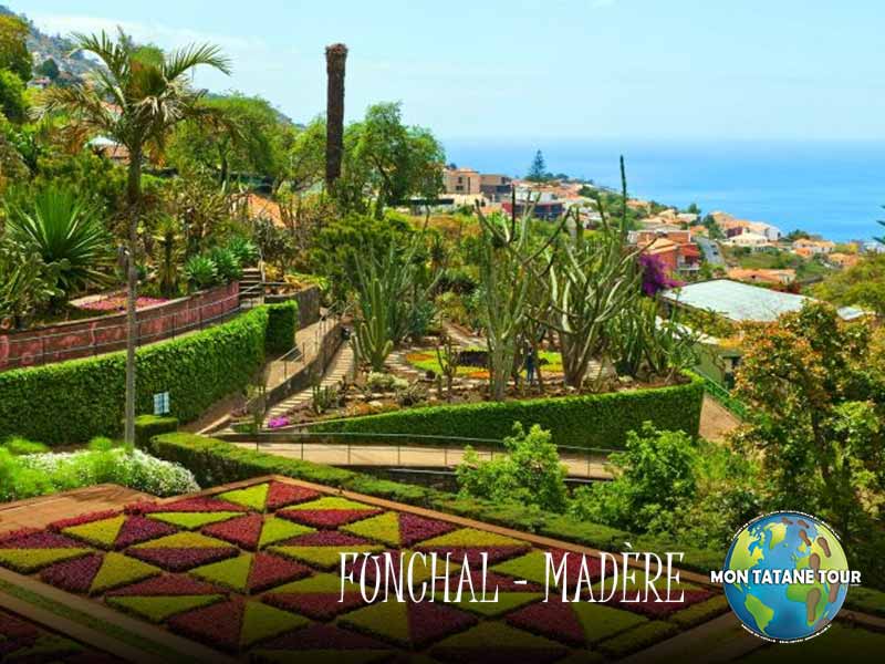 Funchal travel guide Monte botanical garden