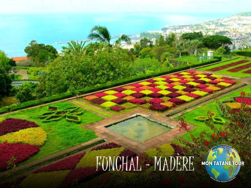 Funchal travel guide Monte botanical garden