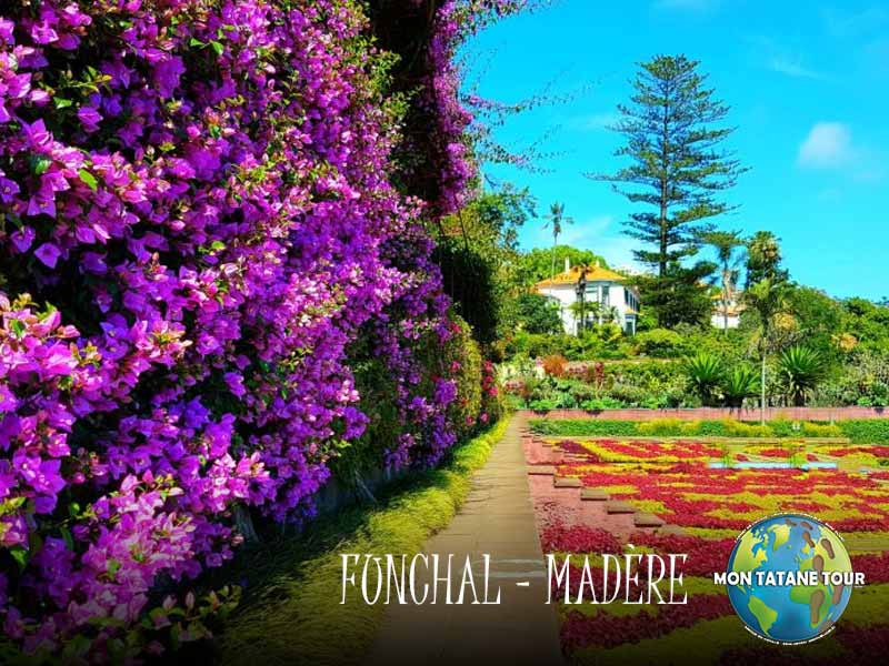 Funchal travel guide Monte botanical garden