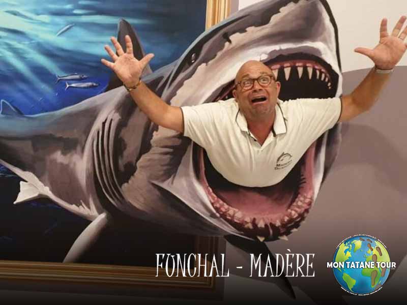 Funchal travel guide The 3D Museum