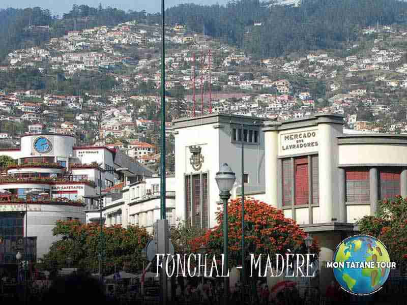 Mercado dos Lavradores